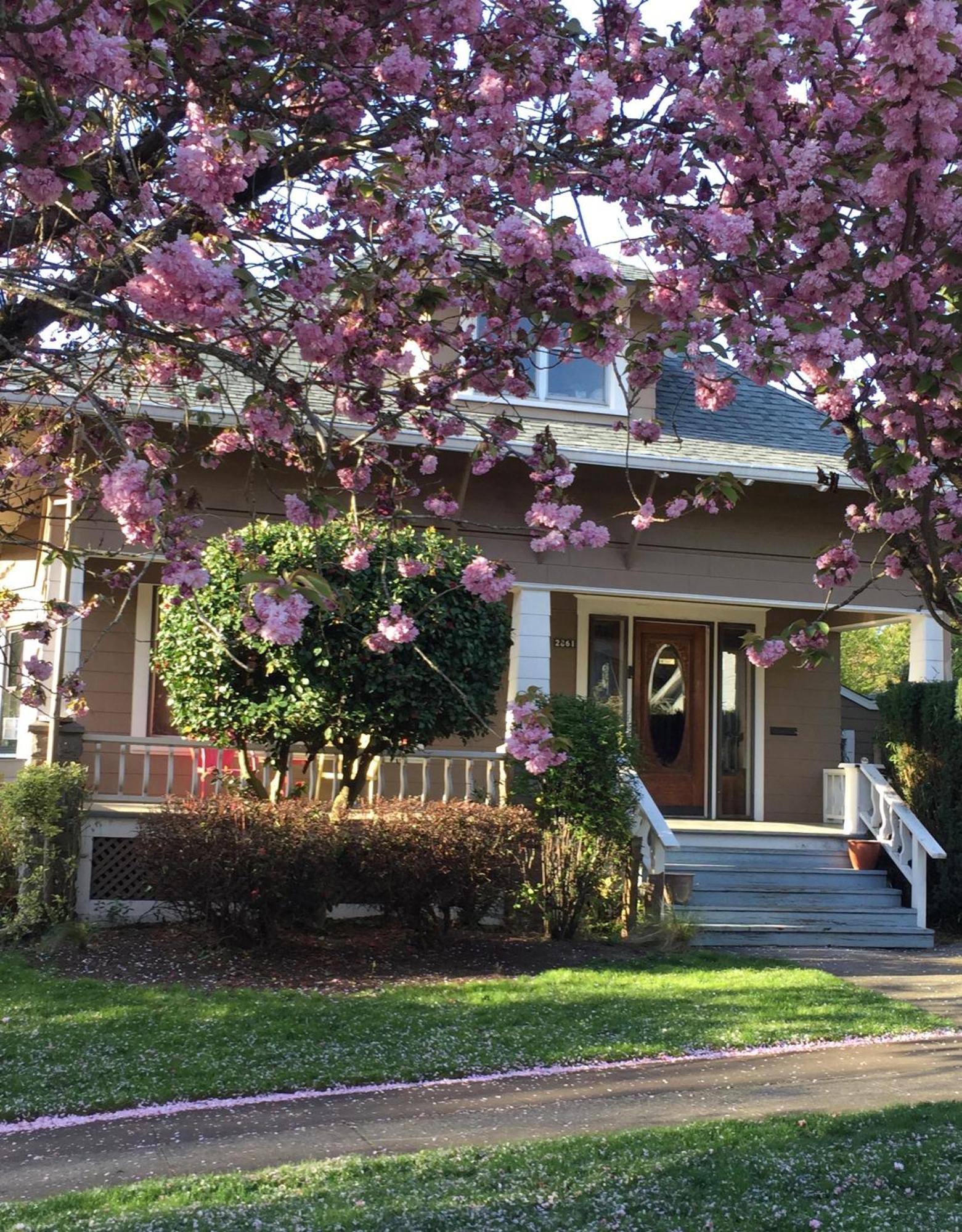 Southeast Portland Comfy & Eclectic Craftsman Home Exteriér fotografie