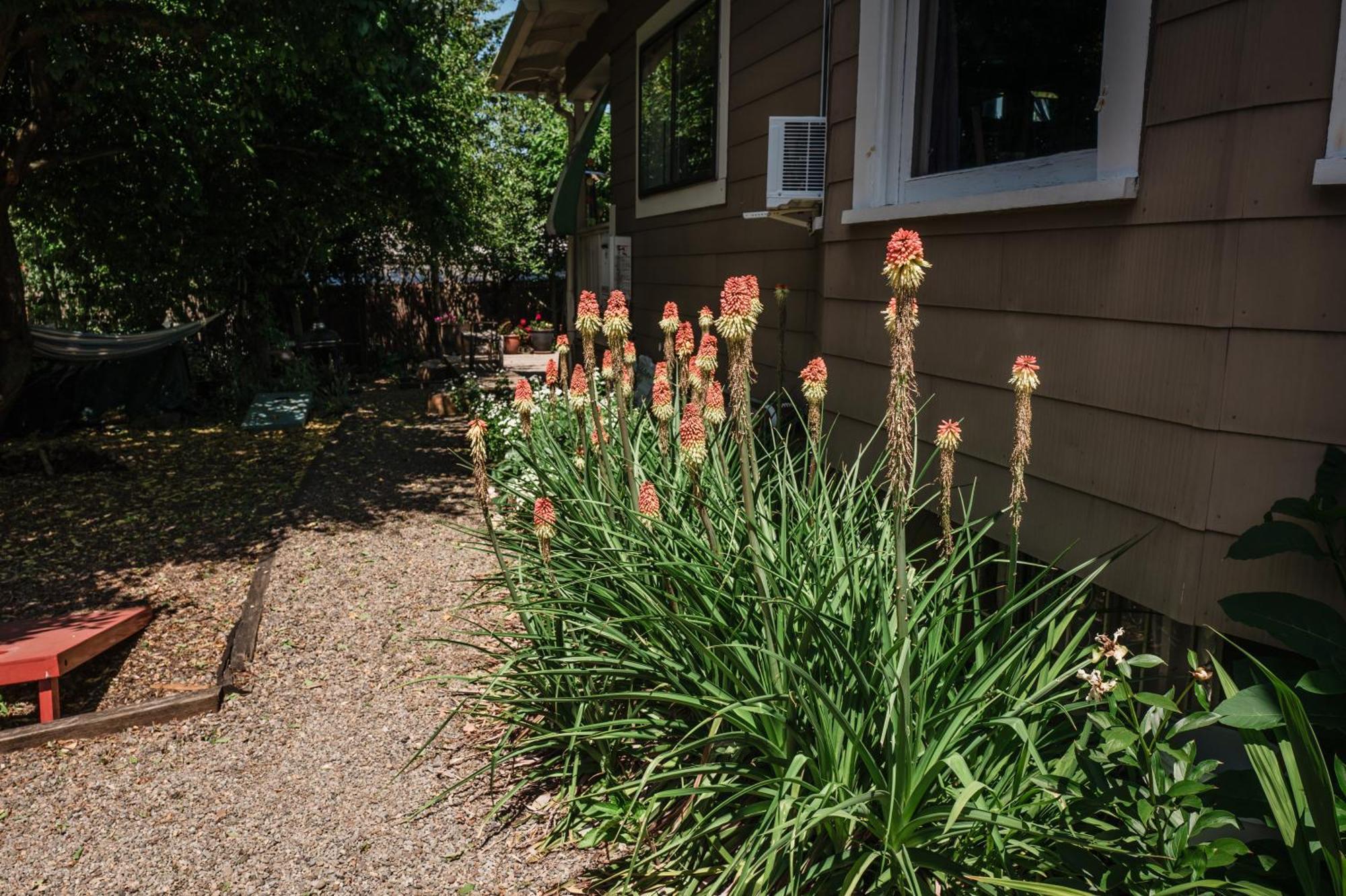 Southeast Portland Comfy & Eclectic Craftsman Home Exteriér fotografie